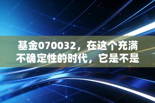 基金070032,在这个充满不确定性的时代,它是不是普通人的避风港?