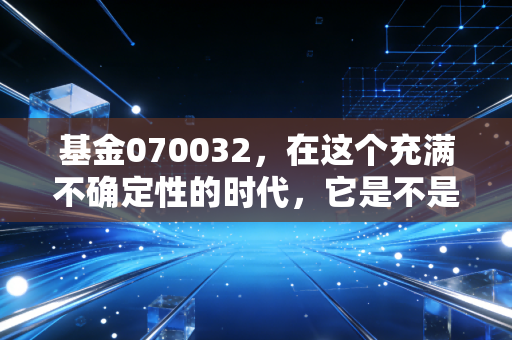 基金070032，在这个充满不确定性的时代，它是不是普通人的避风港？