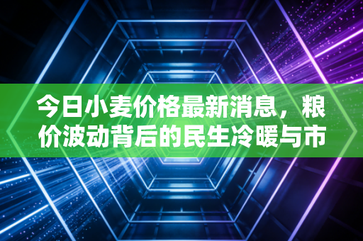 今日小麦价格最新消息，粮价波动背后的民生冷暖与市场博弈