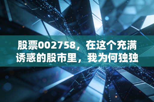 股票002758,在这个充满诱惑的股市里,我为何独独偏爱这位隐形的大力士?