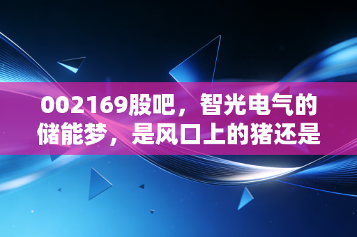 002169股吧,智光电气的储能梦,是风口上的猪还是实干的孤勇者?