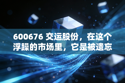 600676 交运股份，在这个浮躁的市场里，它是被遗忘的压舱石还是等待起飞的老黄牛？