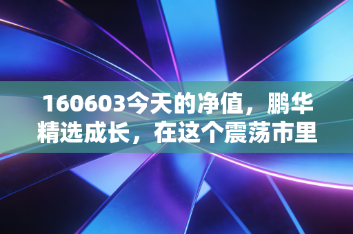 160603今天的净值，鹏华精选成长，在这个震荡市里还能打吗？