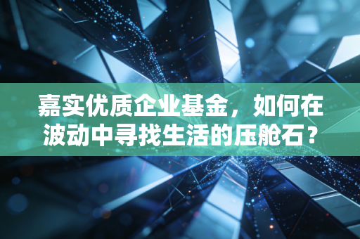 嘉实优质企业基金,如何在波动中寻找生活的压舱石?