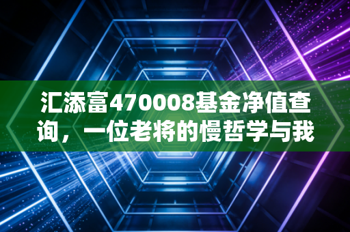 汇添富470008基金净值查询,一位老将的慢哲学与我们的投资焦虑