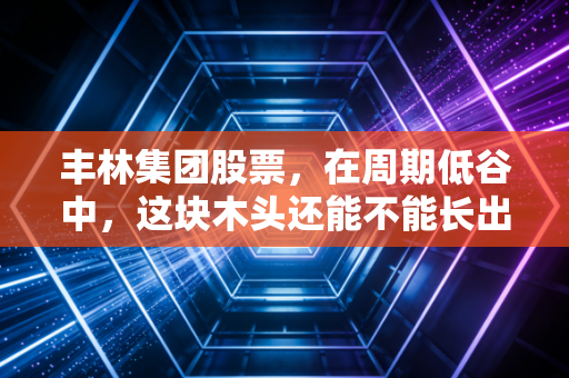 丰林集团股票,在周期低谷中,这块木头还能不能长出金子?