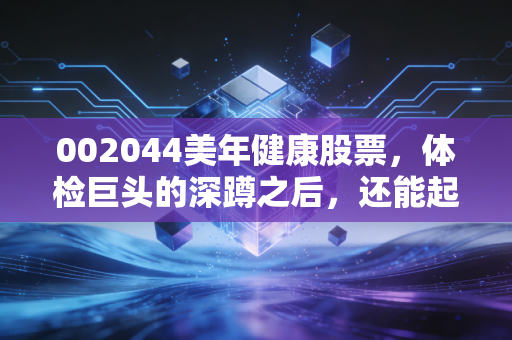 002044美年健康股票，体检巨头的深蹲之后，还能起跳吗？