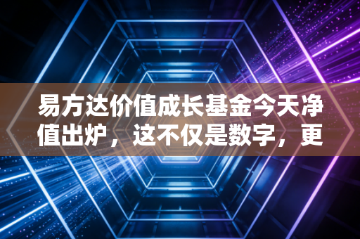 易方达价值成长基金今天净值出炉,这不仅是数字,更是我们投资心态的试金石