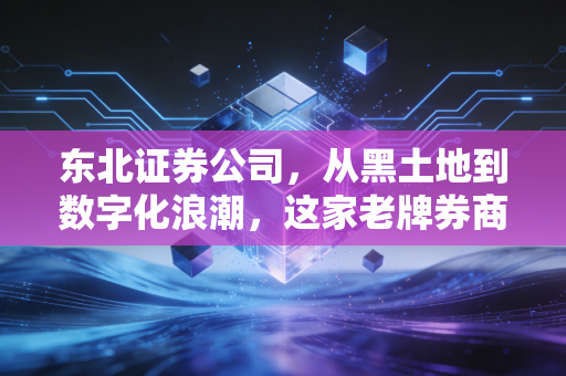 东北证券公司，从黑土地到数字化浪潮，这家老牌券商还能带给我们多少惊喜？