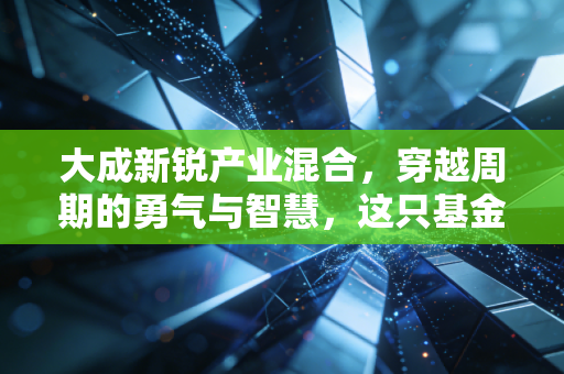 大成新锐产业混合,穿越周期的勇气与智慧,这只基金值得你长情陪伴吗?