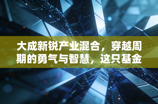 大成新锐产业混合,穿越周期的勇气与智慧,这只基金值得你长情陪伴吗?