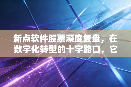 新点软件股票深度复盘,在数字化转型的十字路口,它还能成为我们眼中的长坡厚雪吗?