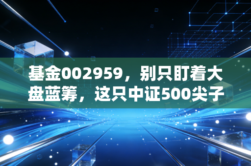 基金002959,别只盯着大盘蓝筹,这只中证500尖子生或许才是你钱包的隐形增长极