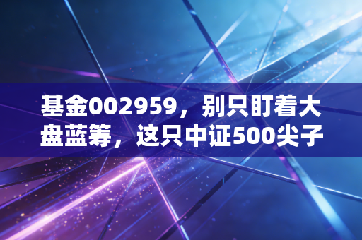 基金002959,别只盯着大盘蓝筹,这只中证500尖子生或许才是你钱包的隐形增长极