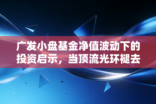 广发小盘基金净值波动下的投资启示,当顶流光环褪去,我们该如何守住本心?