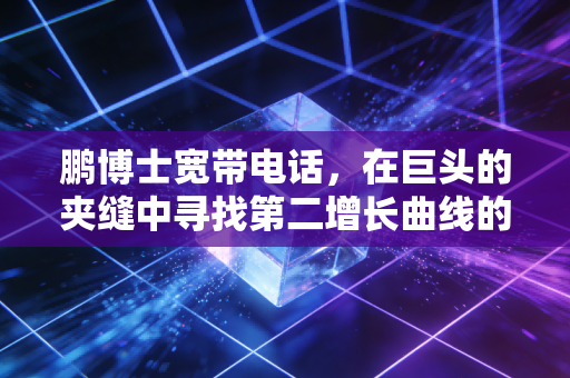 鹏博士宽带电话，在巨头的夹缝中寻找第二增长曲线的突围战
