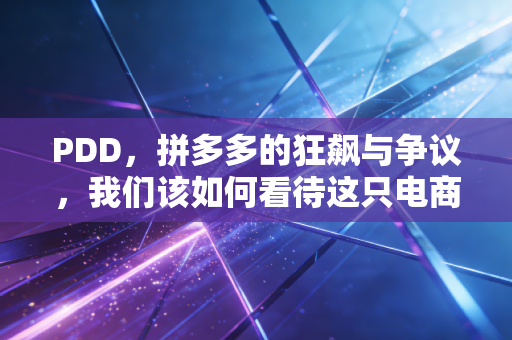 PDD,拼多多的狂飙与争议,我们该如何看待这只电商鲶鱼?