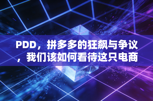 PDD，拼多多的狂飙与争议，我们该如何看待这只电商鲶鱼？