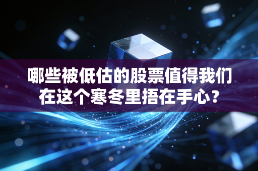 哪些被低估的股票值得我们在这个寒冬里捂在手心?