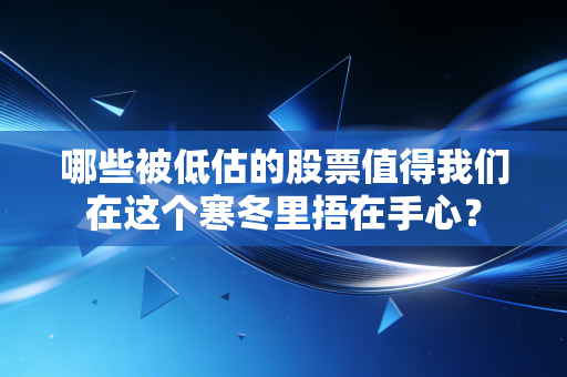 哪些被低估的股票值得我们在这个寒冬里捂在手心?