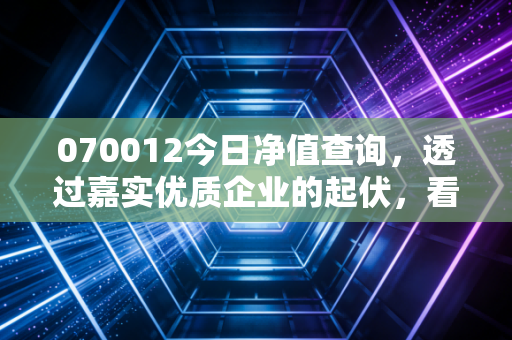 070012今日净值查询，透过嘉实优质企业的起伏，看懂长期投资的真谛