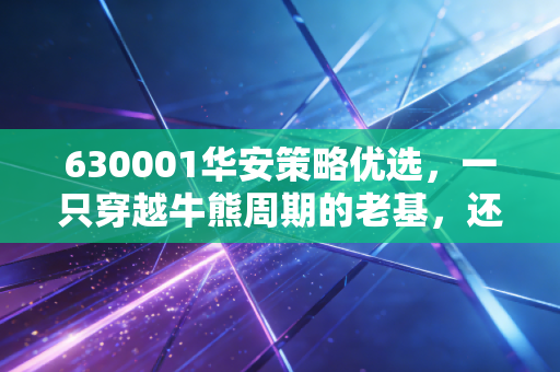 630001华安策略优选,一只穿越牛熊周期的老基,还能否成为你账户里的压舱石?