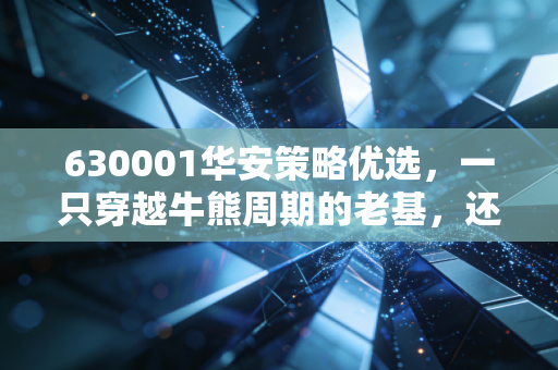 630001华安策略优选,一只穿越牛熊周期的老基,还能否成为你账户里的压舱石?