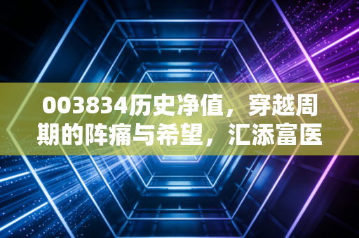 003834历史净值，穿越周期的阵痛与希望，汇添富医疗服务还能回本吗？