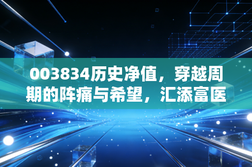 003834历史净值，穿越周期的阵痛与希望，汇添富医疗服务还能回本吗？