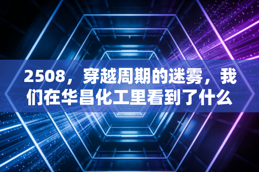 2508,穿越周期的迷雾,我们在华昌化工里看到了什么?
