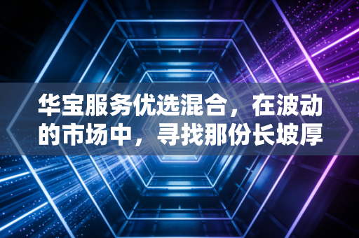 华宝服务优选混合,在波动的市场中,寻找那份长坡厚雪的确定性