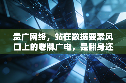 贵广网络，站在数据要素风口上的老牌广电，是翻身还是昙花一现？