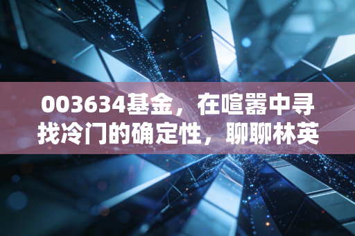 003634基金,在喧嚣中寻找冷门的确定性,聊聊林英睿的投资哲学