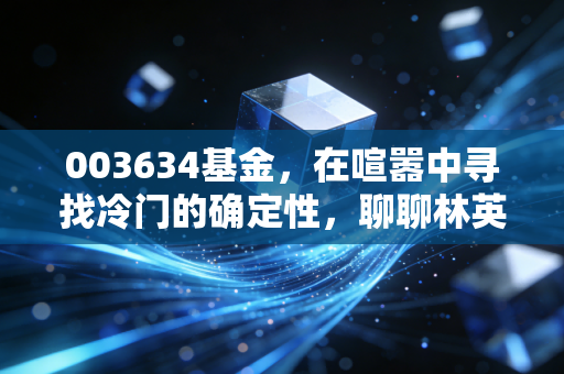 003634基金,在喧嚣中寻找冷门的确定性,聊聊林英睿的投资哲学