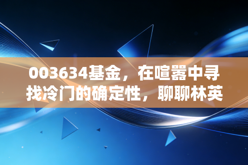 003634基金,在喧嚣中寻找冷门的确定性,聊聊林英睿的投资哲学
