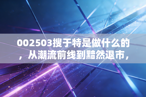 002503搜于特是做什么的,从潮流前线到黯然退市,一段令人唏嘘的商业沉浮史