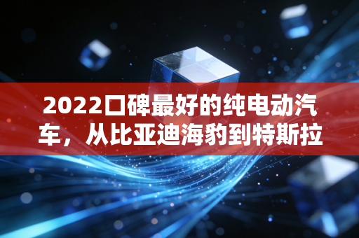 2022口碑最好的纯电动汽车,从比亚迪海豹到特斯拉Model Y,一场关于信任的资本博弈