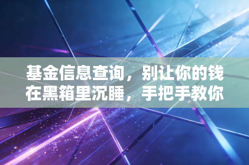 基金信息查询，别让你的钱在黑箱里沉睡，手把手教你读懂背后的财富密码