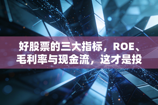 好股票的三大指标,ROE、毛利率与现金流,这才是投资的底层逻辑