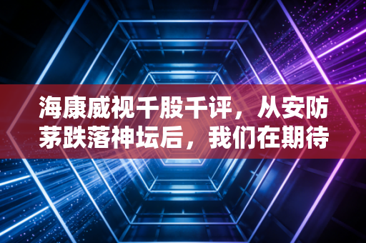 海康威视千股千评,从安防茅跌落神坛后,我们在期待什么?