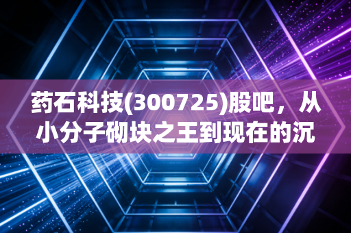 药石科技(300725)股吧,从小分子砌块之王到现在的沉默,我们到底在焦虑什么?