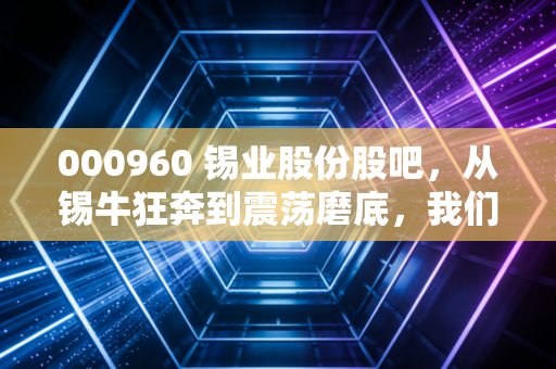 000960 锡业股份股吧,从锡牛狂奔到震荡磨底,我们该如何守住手中的筹码?
