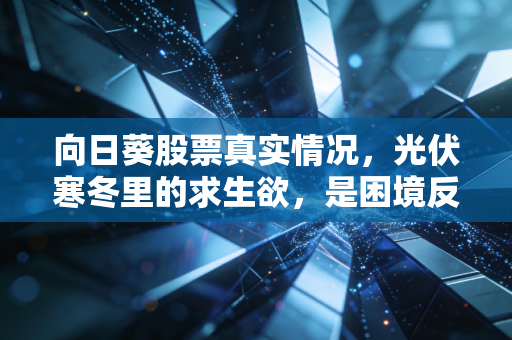 向日葵股票真实情况,光伏寒冬里的求生欲,是困境反转还是昙花一现?