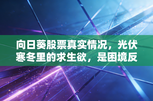 向日葵股票真实情况,光伏寒冬里的求生欲,是困境反转还是昙花一现?