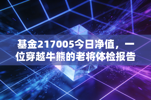 基金217005今日净值,一位穿越牛熊的老将体检报告,招商安泰偏股混合还能打吗?