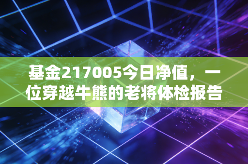 基金217005今日净值,一位穿越牛熊的老将体检报告,招商安泰偏股混合还能打吗?
