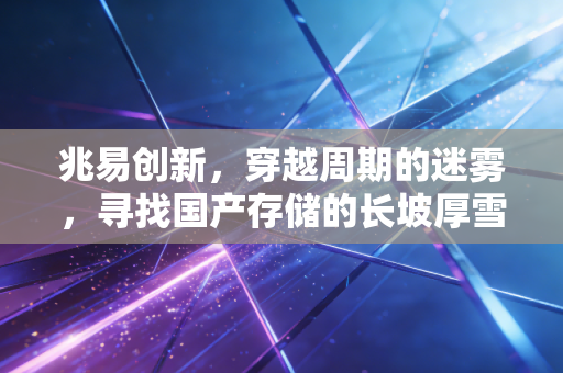 兆易创新,穿越周期的迷雾,寻找国产存储的长坡厚雪