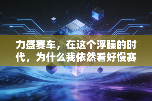 力盛赛车，在这个浮躁的时代，为什么我依然看好慢赛道里的快车？