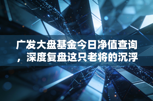 广发大盘基金今日净值查询,深度复盘这只老将的沉浮,聊聊普通人的定投心路