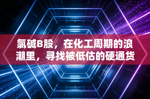 氯碱B股，在化工周期的浪潮里，寻找被低估的硬通货